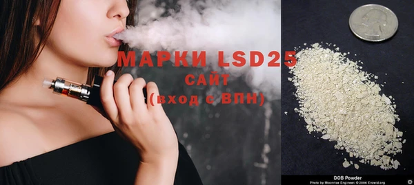 спиды Бородино